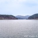 고복자연공원 야생초화원 | [세종 가볼만한곳] 고복자연공원 완전 정복: 웅장한 저수지 뷰와 생태 체험 코스