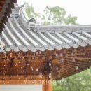 프롬히얼 이미지