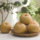 농업회사법인 주식회사 아침