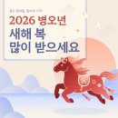 봄이 오듯 종다리가 왔습니다. 이미지