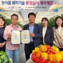 썬개발 이미지
