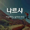 날아오르다나르샤