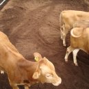 (주)매직바이오 이미지