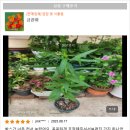 담담꽃식물원