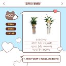 모두의 꽃배달 네이버블로그