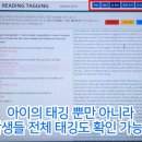 서울가락초등학교 이미지