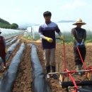 영완농장 이미지