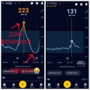 예향정 | 선릉역 점심 추천 예향정 후기｜쌈밥 맛집에서 혈당엣지 챙기는 식사 루틴