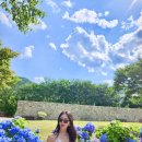 하늬보름 이미지