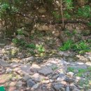 장척계곡식당 이미지