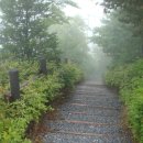 단양세수대야냉면감자탕 이미지