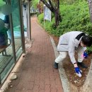 롯데마트(진해경찰서방면) 이미지