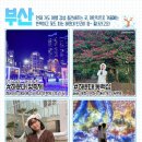 부산 해운대 빛축제 이미지