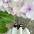 강동네일 뷰티르네 추천 : 제주여행 패디 이달의 아트 후기