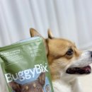 개발바닥친구들 이미지