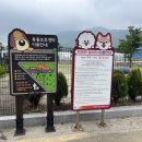 서산시농업기술센터 | 서산시 농업기술센터 반려동물 급체식기 만들기