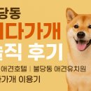 다둥 반려견 호텔 유치원 | 불당동 쉬다가개, 천안 반려견 호텔&amp;유치원 솔직 후기