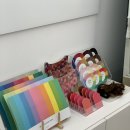 강남 신사역 퍼스널컬러 진단 컬러연 봄웜페일 후기