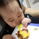 [내돈내산] 10개월 아기 전집 추천 NEW 사랑둥이 아기그림책으로 책육아하기