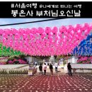 봉은사 선불당 | 부처님 오신 날 봉은사 연등 구경(주차, 가격)