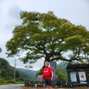 동량면 행정복지센터 이미지