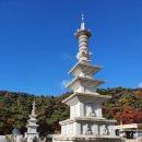 팔공스테이 이미지