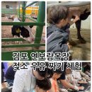 보람목장 | 김포 아이랑체험할만한곳 젖소젖짜기체험 가능한 연보람목장 후기