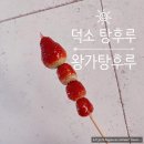 무모한초밥덕소점 | 남양주 :: 덕소 탕후루 '왕가탕후루 덕소점' 다녀온 후기(+꿀팁)
