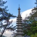 도선사 Daum카페