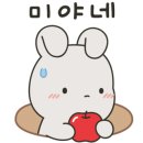 자라호텔 네이버블로그