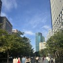해산빌딩 | 2024 세계 불꽃 축제 63빌딩 앞에서 보고 온 후기(63빌딩 시야/명당 자리/버스 우회/해산 인파)