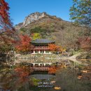 백양사 쌍계루 이미지