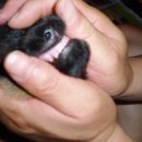 개폼난다 이미지