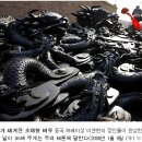 용차이나 이미지