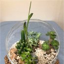 직장인 힐링 원예치료 이미지