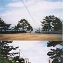 동해분교 이미지