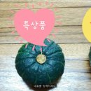 제주봄농장