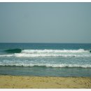 동해바다 이미지