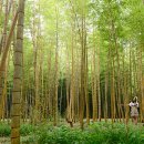 수령농장 이미지