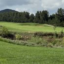 대지카인테리어 | 연태 3색 골프 4월 특가 49만원대~ 천홍호텔 숙박 &amp; 주류 무제한 만찬 2인 출발 실속 구성