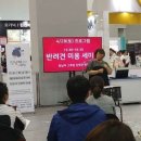 강명주애견미용학원