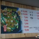 나무아래쉼팡 네이버블로그