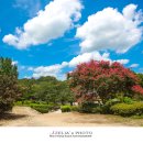 영천서원 이미지