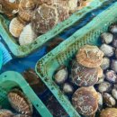 수협다대회센터 이미지