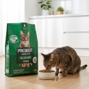 대한사료 | 고양이 헤어볼 고민 끝! 프로베스트 그린 사료 솔직 후기