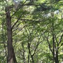 단체 탐방객 - 청명산악회(김천), 산어귀산악회(대구), 송암산악회(대구), 여행나무(서울,28명. 8/1 어제) 이미지