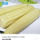 수암농장 이미지