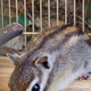 꽃피는산골 이미지