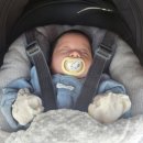 스타벅스 양주옥정공원점 | 옥정호수공원 벚꽃 구경. 럭키의 첫 외출