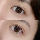 니즈 | 의정부 속눈썹펌 | 눈매•니즈에 맞추어 자연스러운 속눈썹 펌을 해주는 의정부 브로우돌 후기👁️👁️